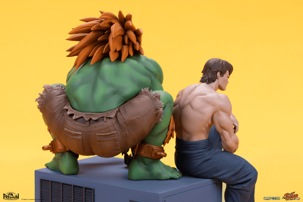 Blanka & Fei Long 8