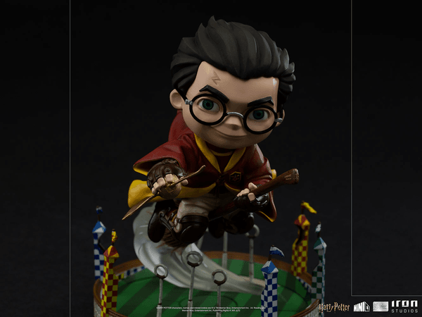 Harry Potter en el partido de Quidditch MiniCo 6
