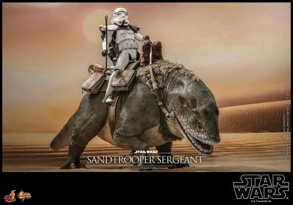 Sandtrooper Sergeant™ 7