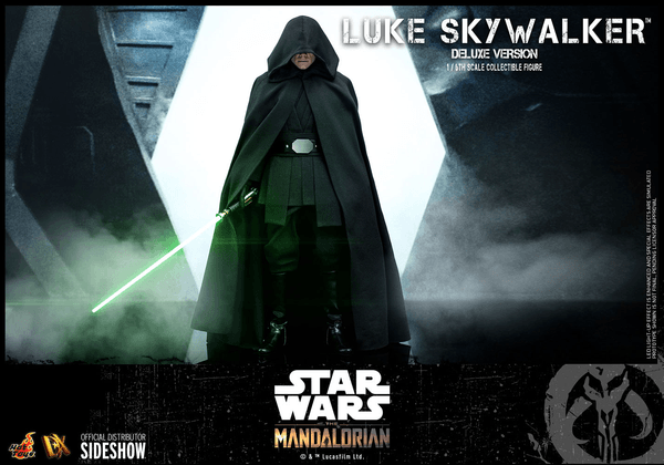 Luke Skywalker (Deluxe Version) 10