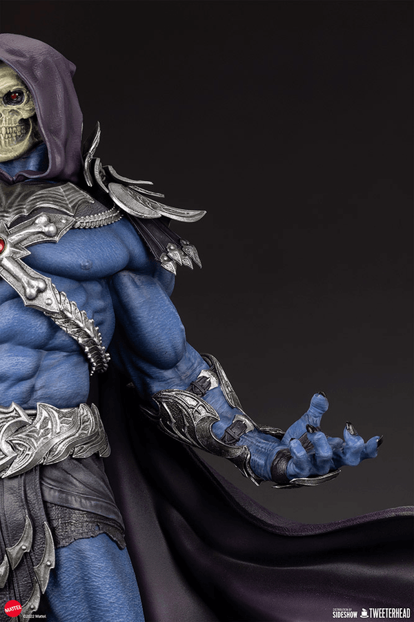 Skeletor Legends  8