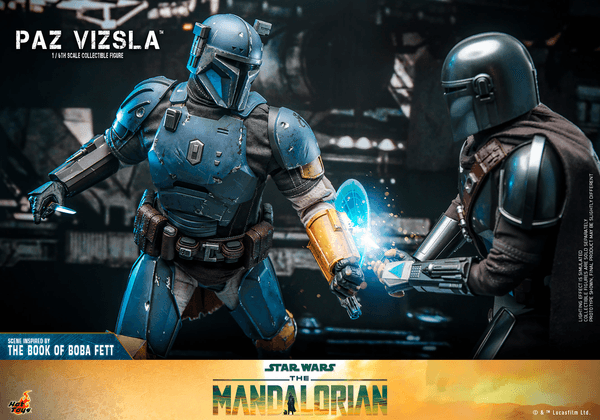 Paz Vizsla 9